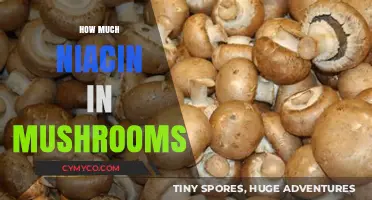 Exploring the Nutritional Benefits: Niacin Content in Mushrooms