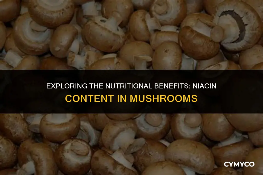 how much niacin in mushrooms