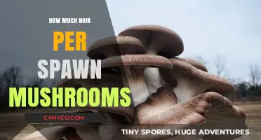 Spawn Noir: The Dark Side of Mushroom Cultivation