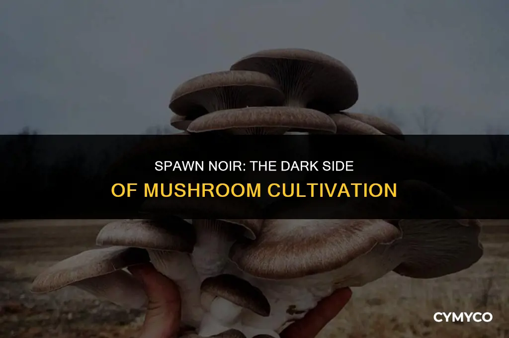 how much noir per spawn mushrooms