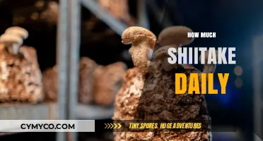 Optimal Shiitake Intake: A Guide to Daily Consumption