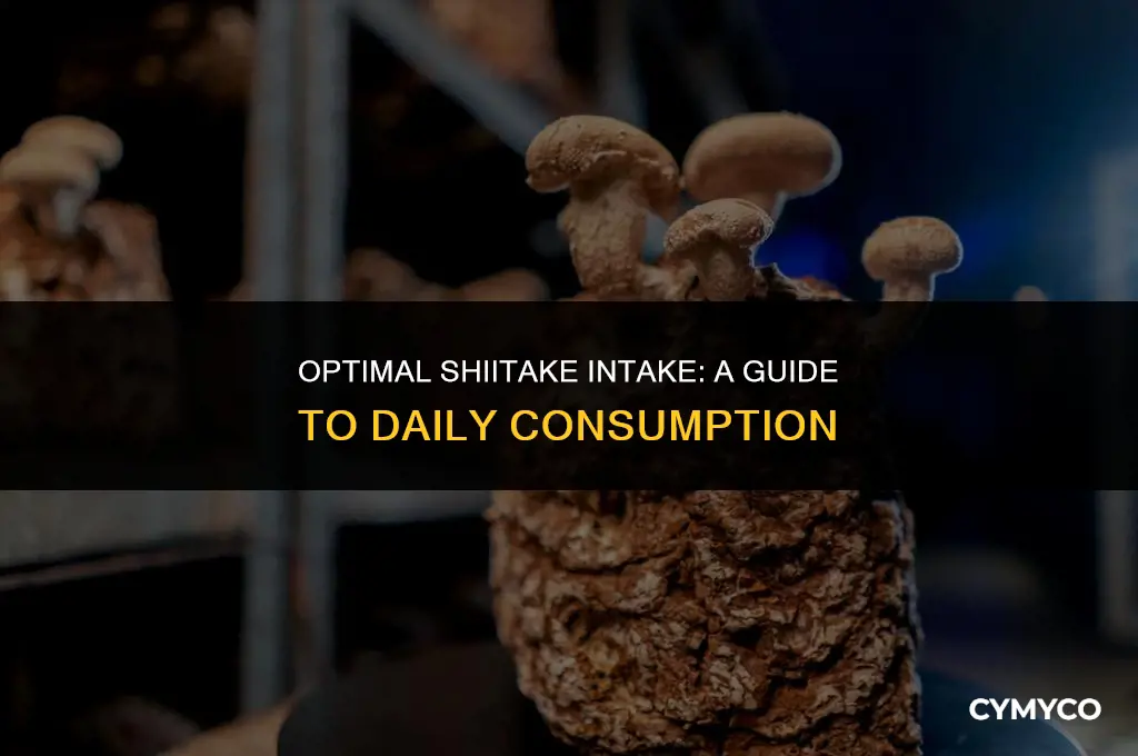 how much shiitake daily