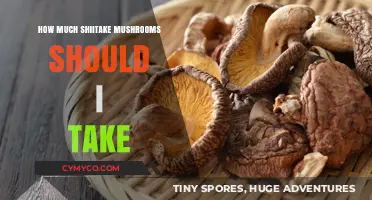 Exploring the Optimal Shiitake Mushroom Dosage for Health Benefits