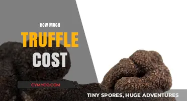 Decoding the Price Tag: How Much Does Truffle Really Cost?
