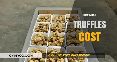 Decoding the Price Tag: A Comprehensive Guide to Truffle Costs