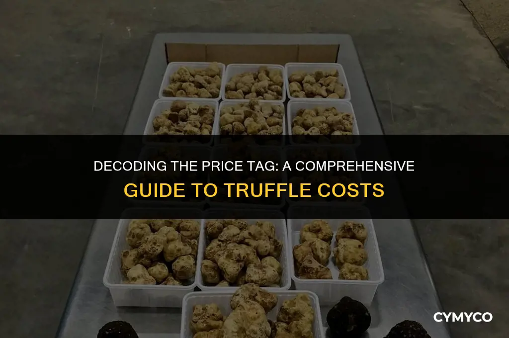 how much truffles cost