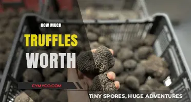 Decoding the Value: How Much Are Truffles Really Worth?