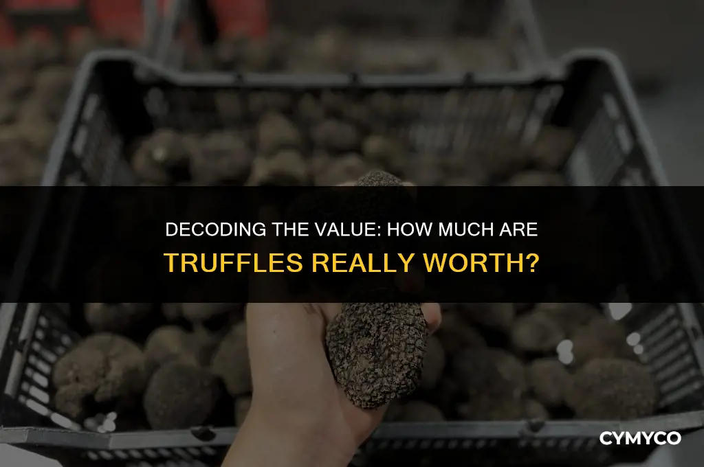 how much truffles worth