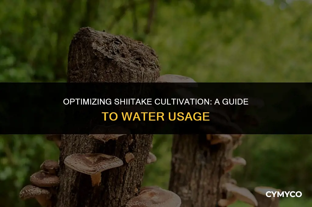 how much water to produce shiitake