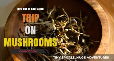 Navigating the Psychedelic Experience: Tips to Avoid a Bad Mushroom Trip