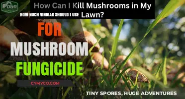 Effective Mushroom Fungicide: The Right Amount of Vinegar to Use
