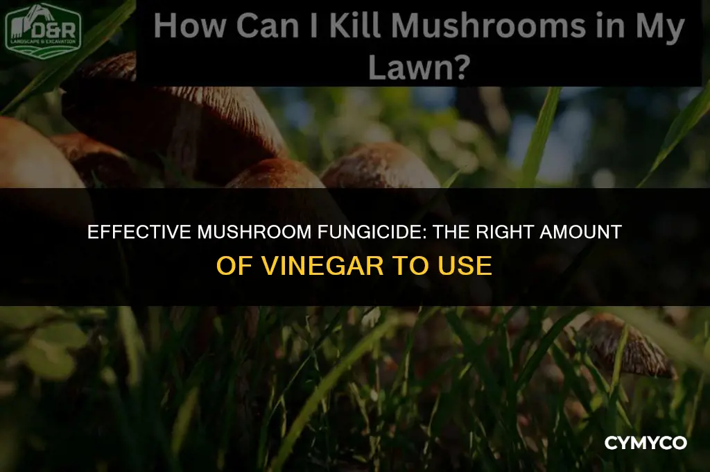 how nuch vinigar should i use for mushroom fungicide
