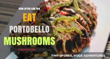 Savoring Portobello Mushrooms: A Guide to Enjoying Them Often