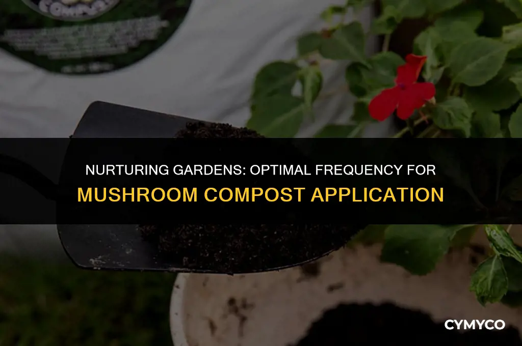 how often to use mushroom compost