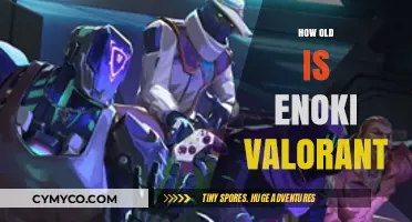Unveiling Enoki's Valorant Age: A Deep Dive into the Pro Player's Background