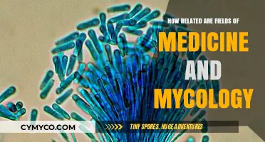 Exploring the Surprising Links Between Medicine and Mycology