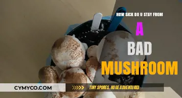 The Surprising Truth About Mushroom Sickness: A Complete Guide