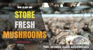 A Guide to Selecting and Storing Fresh Mushrooms
