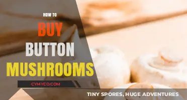 A Comprehensive Guide to Purchasing Fresh Button Mushrooms
