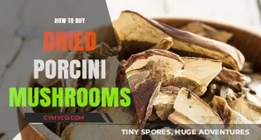 Savor the Flavor: A Guide to Buying Dried Porcini Mushrooms