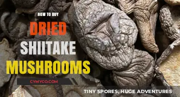 Savor the Umami: Your Guide to Buying Dried Shiitake Mushrooms