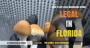 Exploring the Legalities: Purchasing Mushroom Spores in Florida