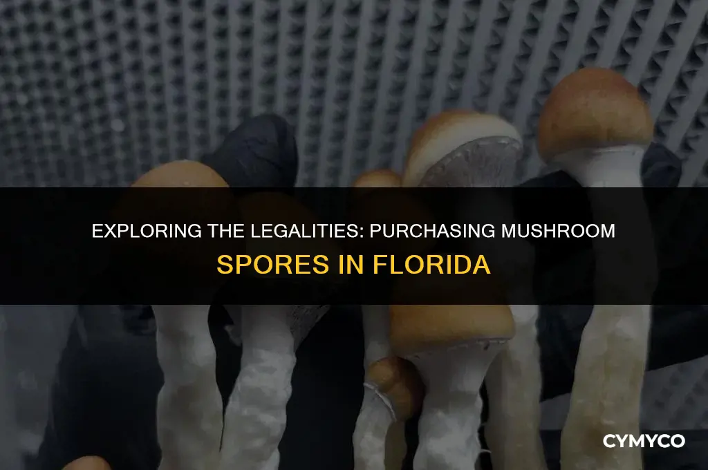 how to buy legal mushroom spores legal in florida