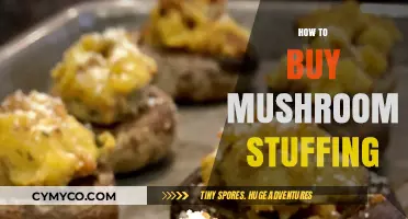 A Savory Guide to Selecting the Perfect Mushroom Stuffing