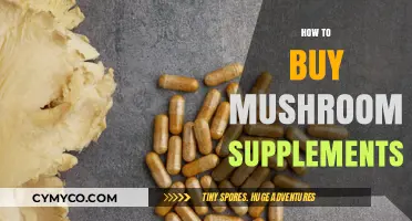 Exploring the Benefits and Best Practices of Mushroom Supplements