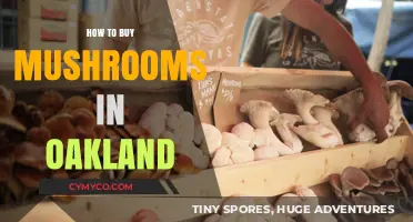 Exploring Oakland's Best Spots for Fresh and Exotic Mushrooms