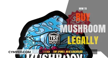Exploring Legal Avenues: A Guide to Purchasing Mushrooms Responsibly