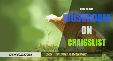 Exploring the Craigslist Market for Fresh Mushrooms: A Buyer's Guide