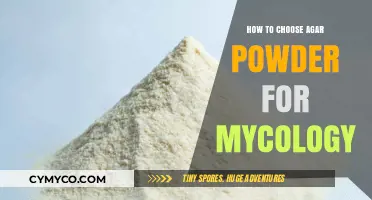 Selecting the Perfect Agar Powder for Your Mycology Experiments