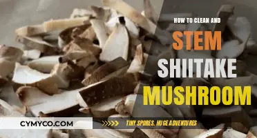 Mastering the Art of Cleaning and Stemming Shiitake Mushrooms