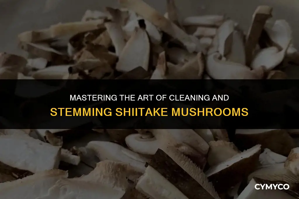 how to clean and stem shiitake mushrooms