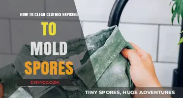 Effective Strategies for Cleaning Mold-Exposed Clothing