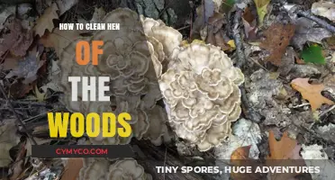 Mastering Hen of the Woods Cleaning: Simple Steps for Perfect Prep