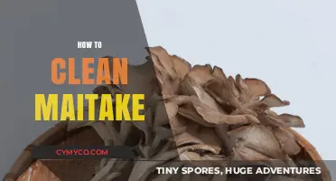 Fresh and Flavorful: A Simple Guide to Cleaning Maitake Mushrooms