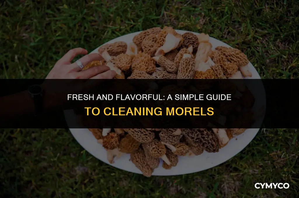 how to clean morels