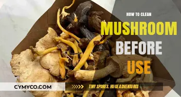 A Beginner's Guide to Safely Cleaning Mushrooms for Cooking