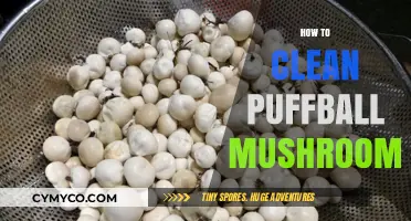 A Beginner's Guide to Safely Cleaning and Preparing Puffball Mushrooms