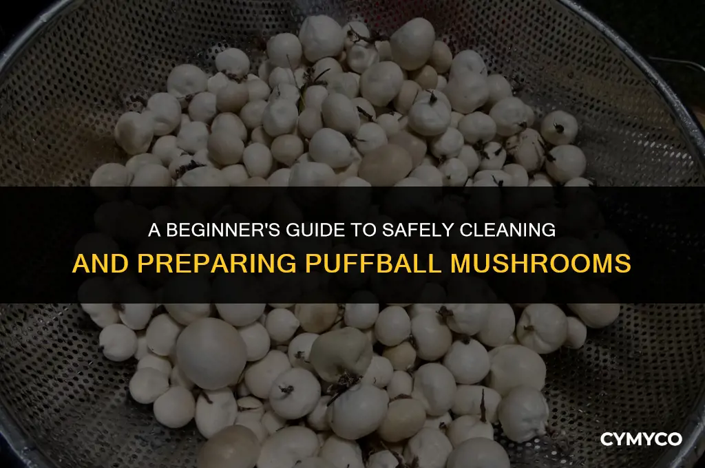how to clean puffball mushrooms