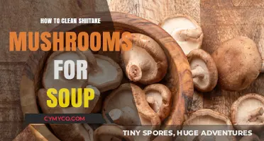 Fresh and Flavorful: Cleaning Shiitake Mushrooms for Soup