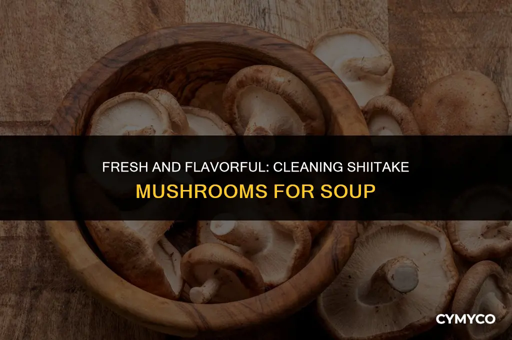 how to clean shiitake mushrooms for soup