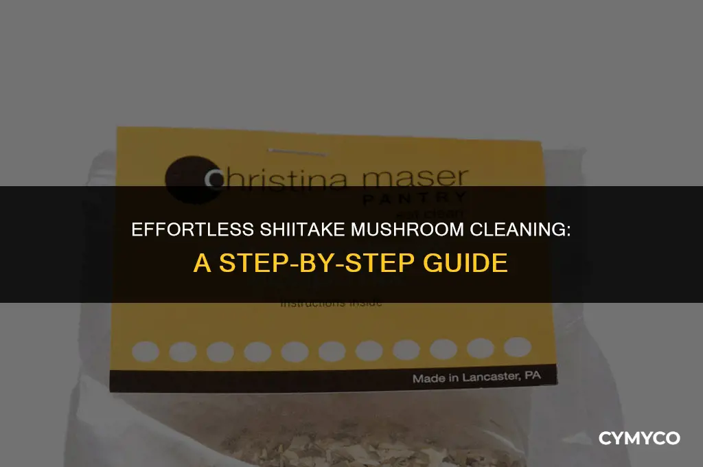 how to clean up shiitake mushroom