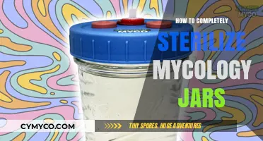 Sterilizing Mycology Jars: A Comprehensive Guide to Perfection