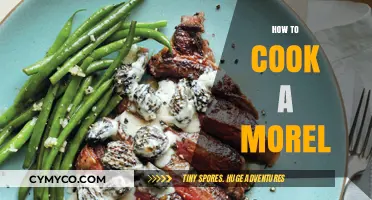 Savor the Spring: A Simple Guide to Cooking Morel Mushrooms
