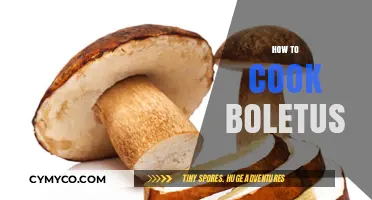 Savor the Flavor: A Guide to Cooking Boletus Mushrooms