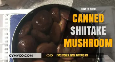 Savor the Umami: Easy Recipes with Canned Shiitake Mushrooms