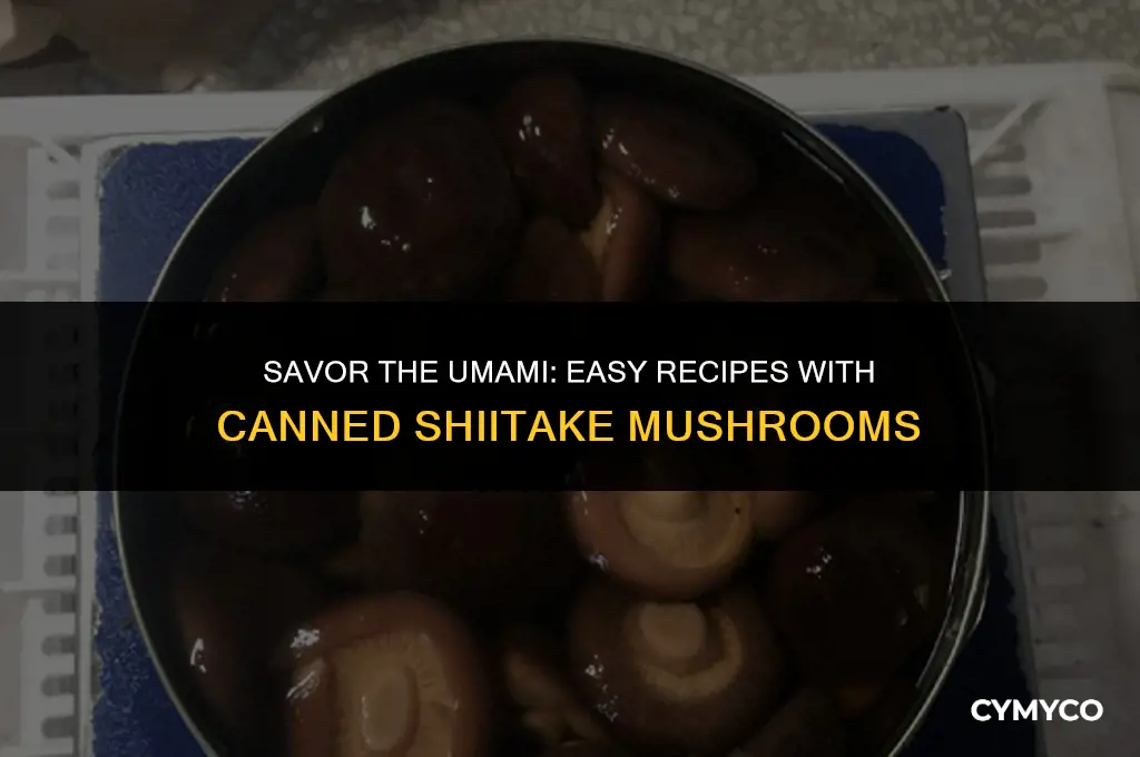 how to cook canned shiitake mushrooms